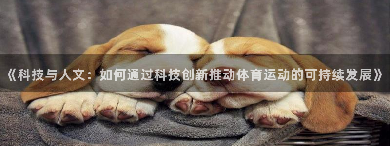 球速体育