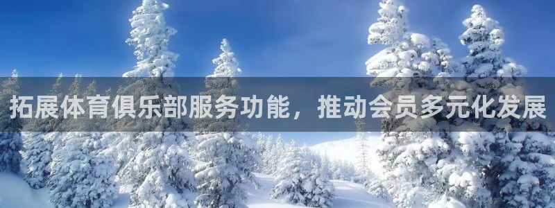 球速体育