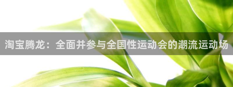 球速体育