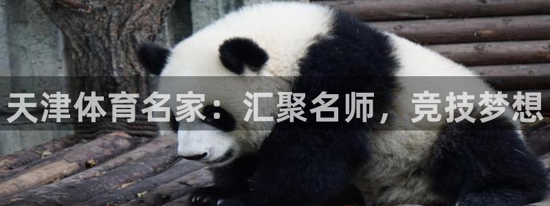 球速体育
