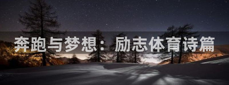 球速体育