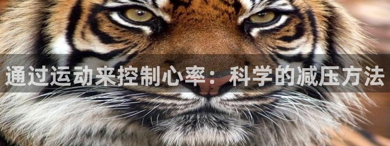 球速体育：通过运动来控制心率：科学的减压方法