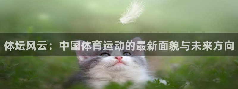 球速体育：体坛风云：中国体育运动的最新面貌与未来方向