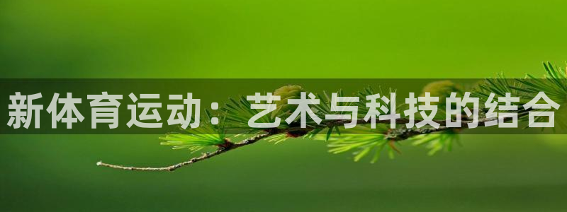 球速体育：新体育运动：艺术与科技的结合