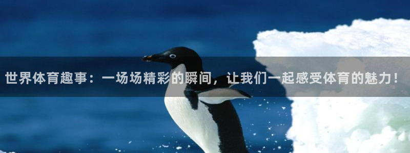 球速体育
