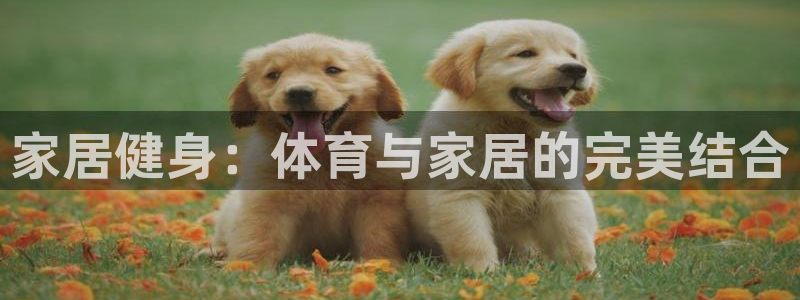 球速体育