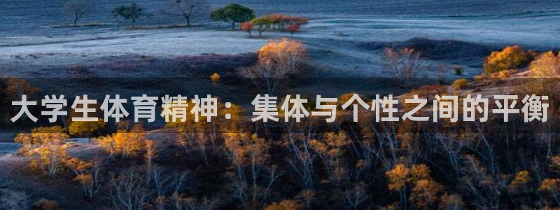 球速体育