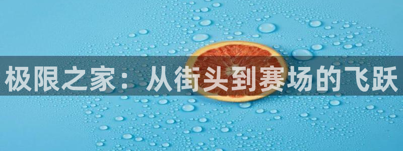 球速体育