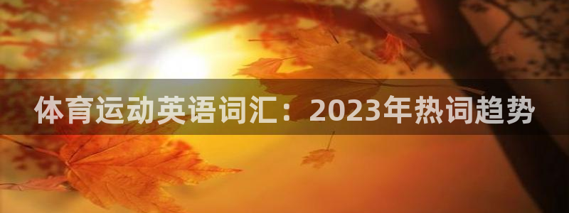 球速体育