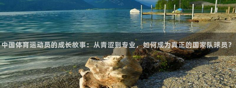 球速体育